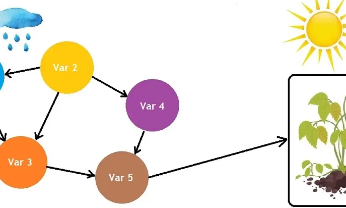 Bayesian orders learning machine learning