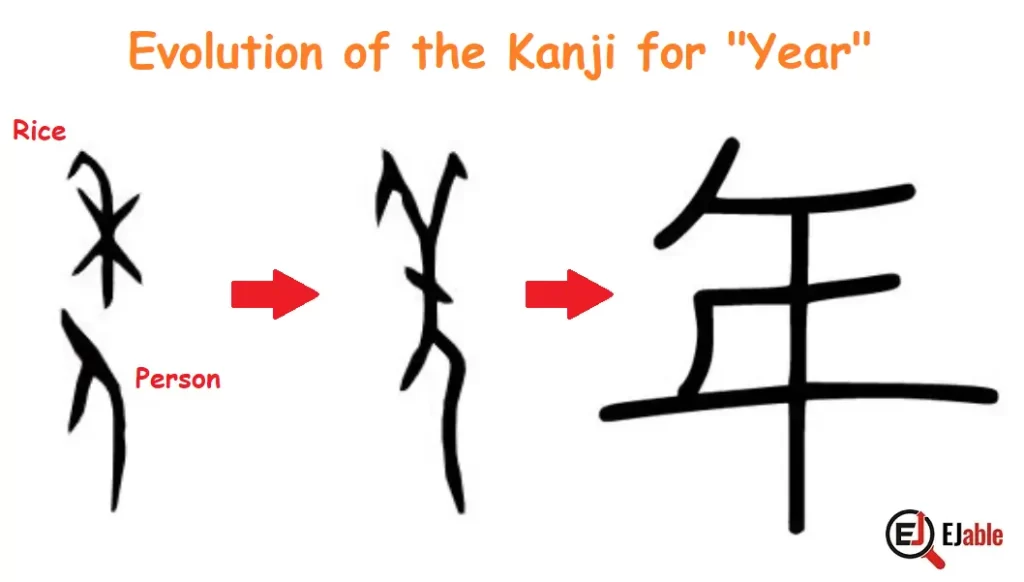 Evolution of the Kanji for Year from Oracle bone script to the current shape.