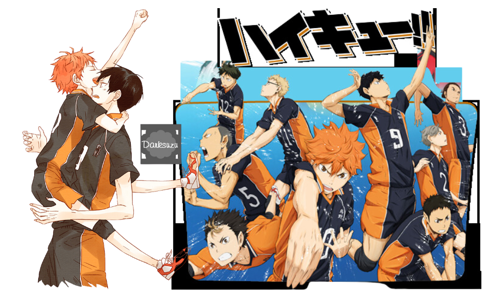 Haikyuu!! Manga.